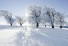 Winter im Bayerischen Wald